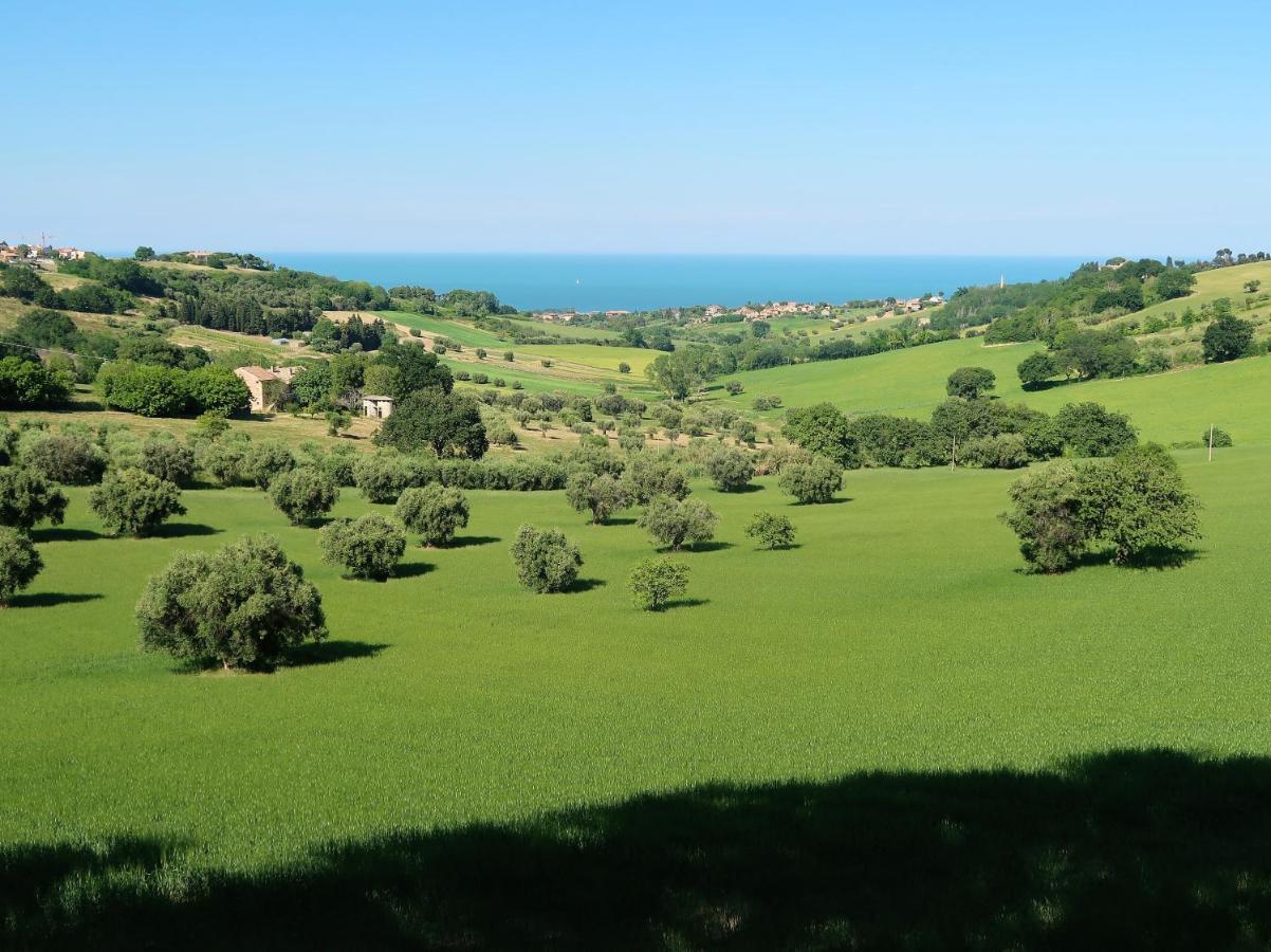Apartament Terra Da Mare Potenza Picena Zewnętrze zdjęcie