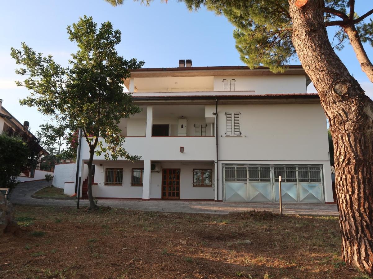 Apartament Terra Da Mare Potenza Picena Zewnętrze zdjęcie
