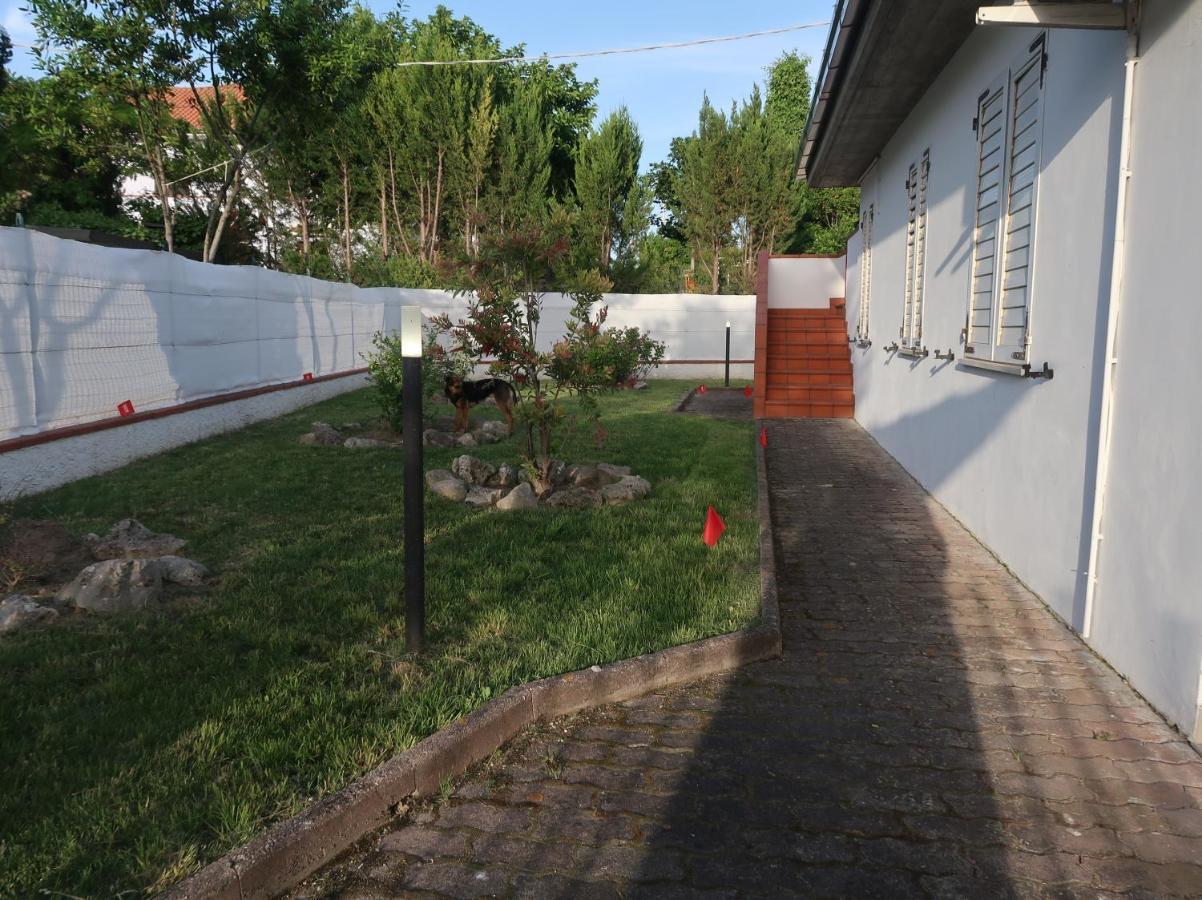 Apartament Terra Da Mare Potenza Picena Zewnętrze zdjęcie